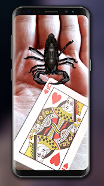 Image 3 for Magic Tricks by Mikael Mo…