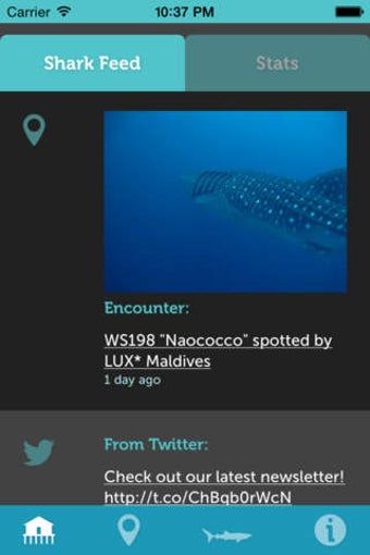 Image 0 for Whale Shark Network Maldi…