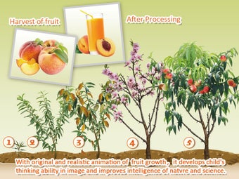 Image 0 for Baby Plants Fruits 2