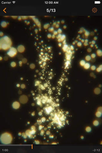Image 0 for Polymnia: The Music Visua…