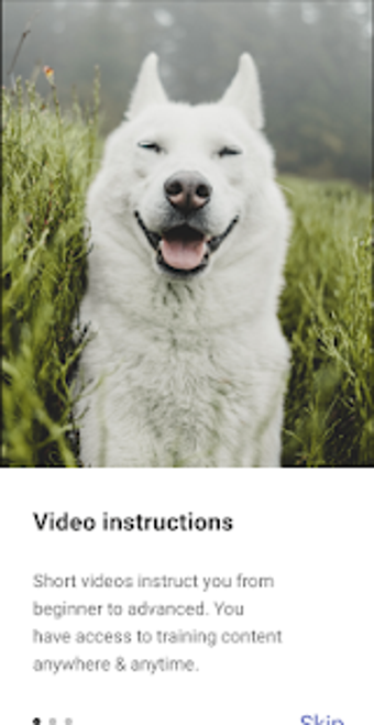 Imagen 1 para Sniffy App (Early Access)