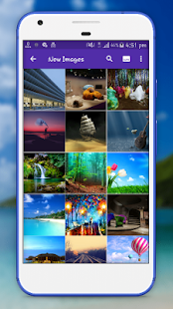 Image 0 for SX Video Gallery - Galler…