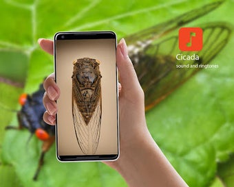 Imagen 1 para Cicada sound ringtones