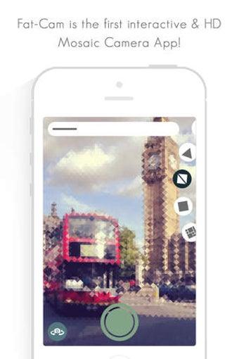 Image 0 for Fat Cam - The Mosaic Came…