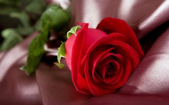 Imagen 2 para Heart Touching Love Messa…