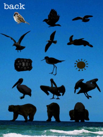 Image 3 for Penguin in the sky