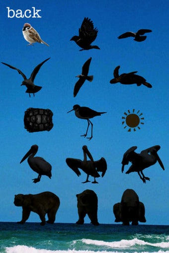Image 0 for Penguin in the sky