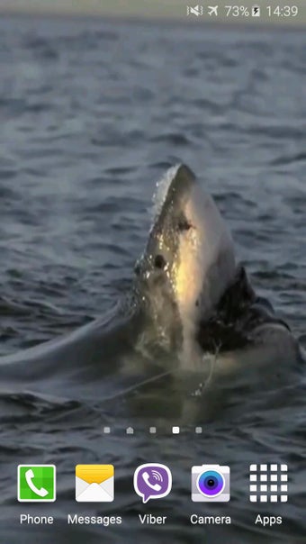Image 6 for Shark Attack Live Wallpap…