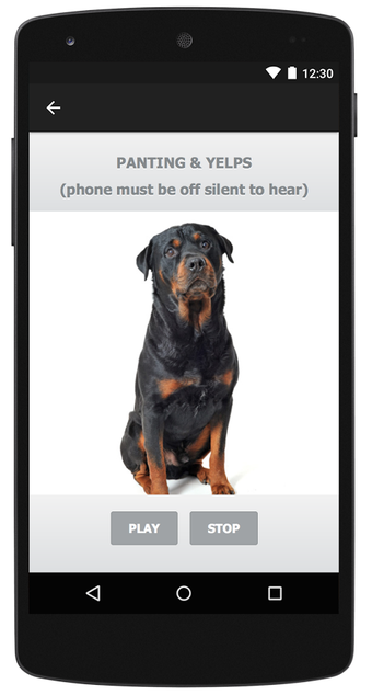 Imagen 2 para Rottweiler Sounds & Dog S…