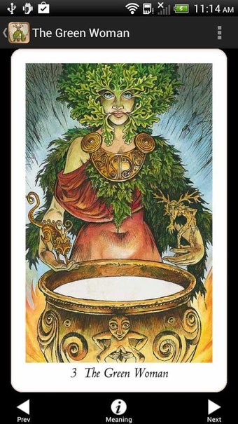 Imagen 3 para Wildwood Tarot