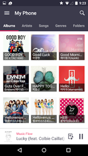 Imagen 1 para Music Flow Player