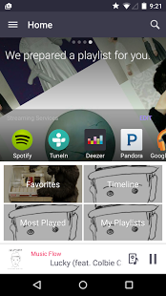 Imagen 3 para Music Flow Player