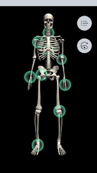 Imagen 3 para Musculoskeletal Pro Consu…