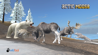 Image 0 for Arctic Moose