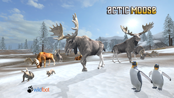 Image 0 for Arctic Moose
