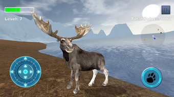 Image 2 for Arctic Moose