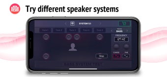 Image 2 for Bass System Test