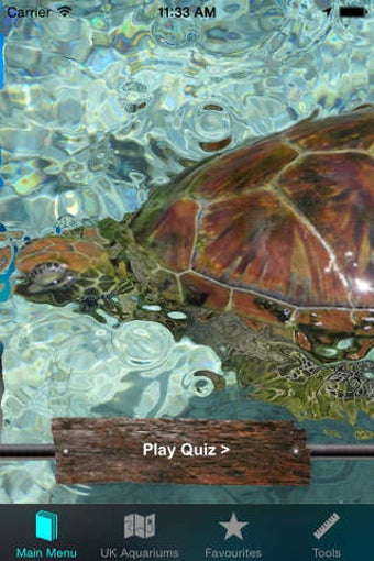 Image 0 for UK Aquariums