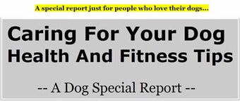 Image 0 for Dog Care