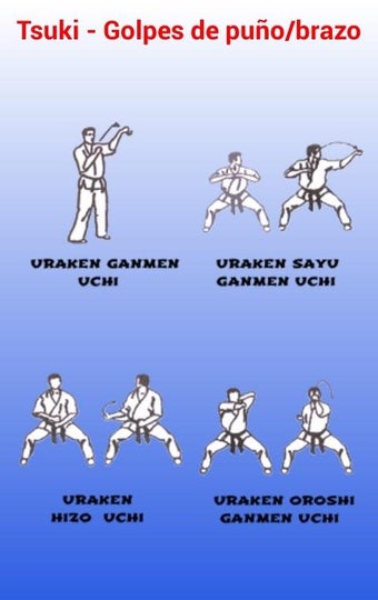 Image 0 for Kyokushin Navarra