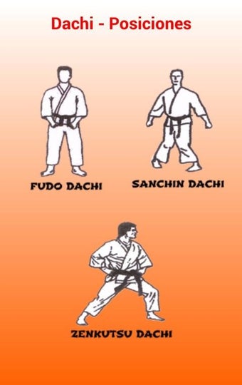 Image 1 for Kyokushin Navarra