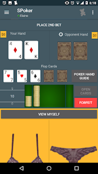 Imagen 3 para Strip Poker - Two Player