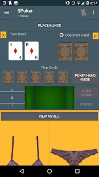 Imagen 0 para Strip Poker - Two Player