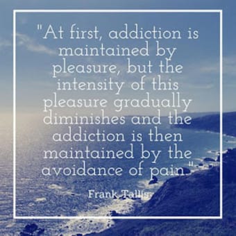 Image 3 for Addiction & Addiction Rec…