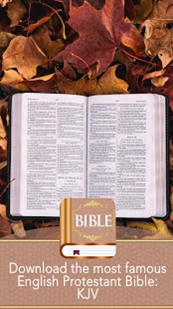 Image 3 for KJV Bible