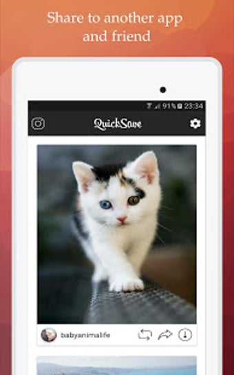 Image 13 for QuickSave for Instagram