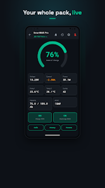 Imagen 0 para SmartBMS ProLithiumBatter…