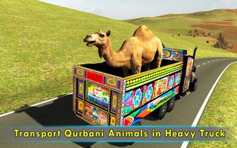 Image 0 for Pk Eid Animal Transport T…