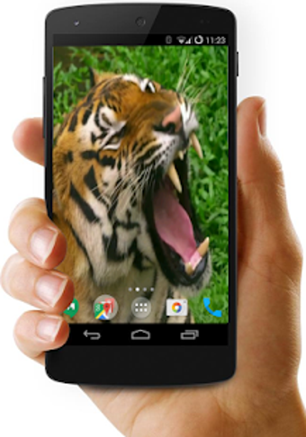 Imagen 1 para 4K Video Live Wallpaper