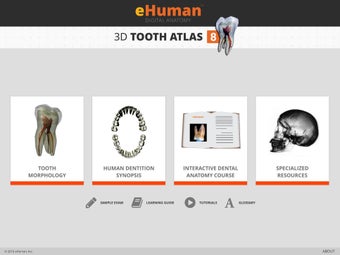 Image 2 for Tooth Atlas 8