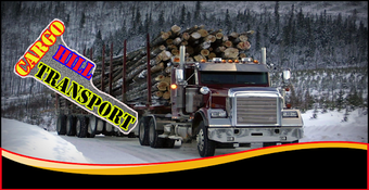Image 2 for Real Truck Driver Simulat…