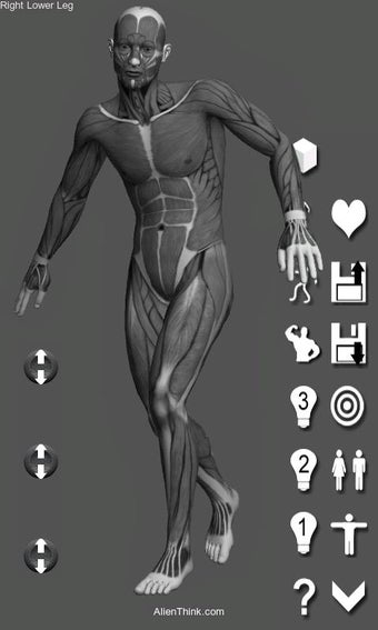 Image 0 for Pose Tool 3D