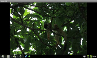 Image 1 for RawDroid Demo