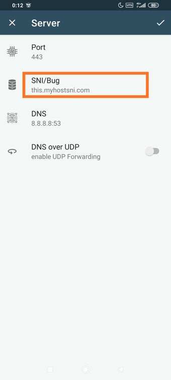 Image 0 for Bypasser SSL VPN
