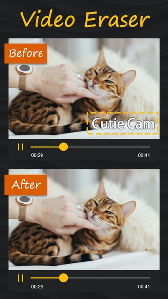 Imagen 2 para Video & Photo Eraser