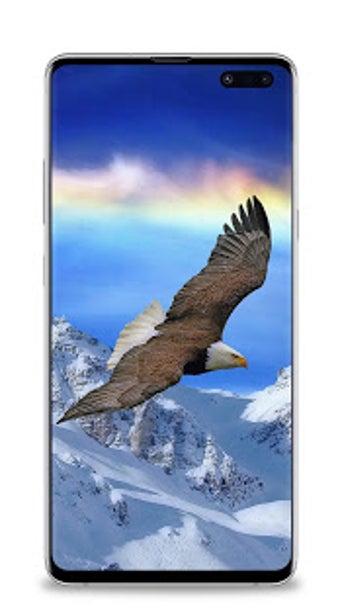 Image 2 for Eagle wallpaper