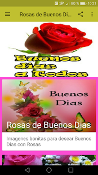 Image 2 for Rosas de Buenos Dias
