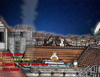 Image 1 for A Cat's Night 2
