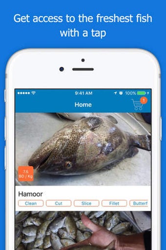 Image 0 for Fish.me
