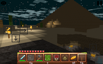 Image 1 for Skyblock Adventurer