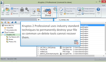 Imagen 2 para Kruptos 2 Professional