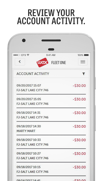 Imagen 1 para Fleet One CardControl
