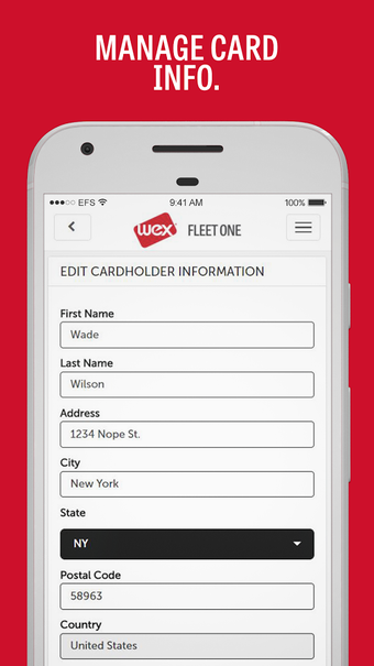 Imagen 3 para Fleet One CardControl