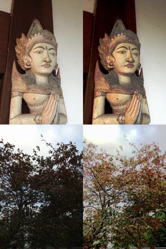 Image 4 for Insightful Cam