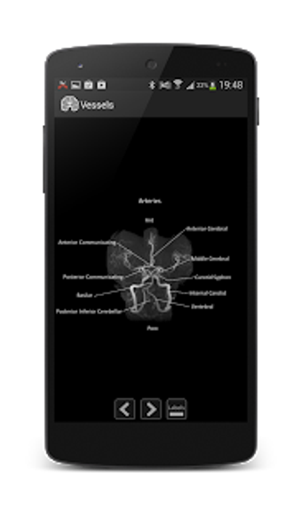 Imagen 2 para Atlas of MRI Brain Anatom…