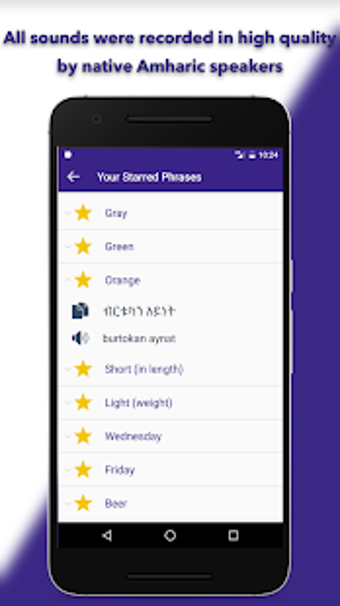 Image 0 for SPEAK AMHARIC - Learn Amh…